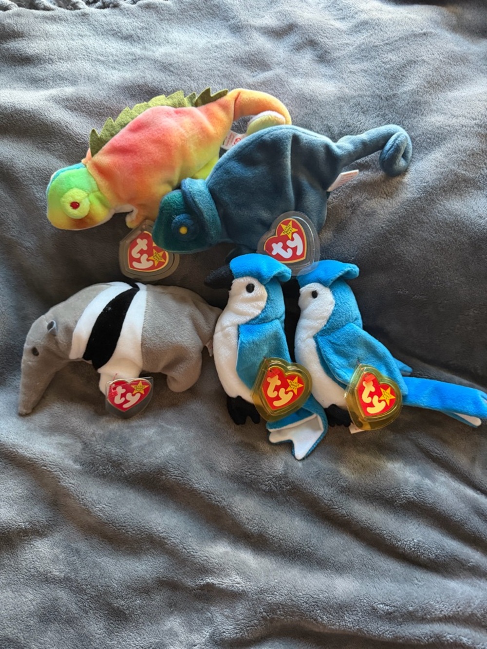 Ty Beanie Babies  Lot of 5 – Rainbow, Iggy, Parrots, Ants– Tag Errors – Vintage